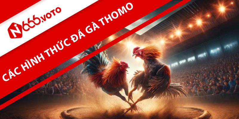 Các hình thức tham gia đá gà Thomo bao gồm những gì?